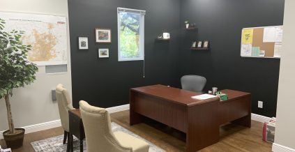 Office Painting Project