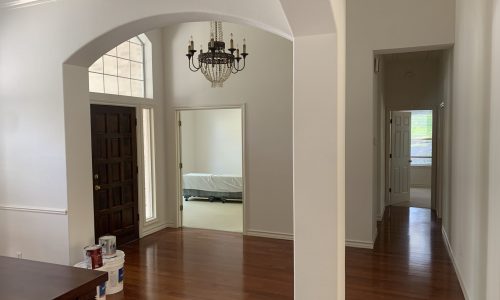 Interior Painting Project