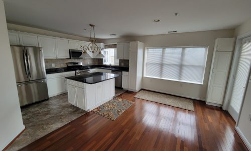 Living Room & Kitchen
