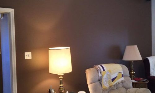 Interior Living Room Project in Cordova