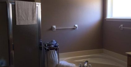 Residential Bathroom Painting