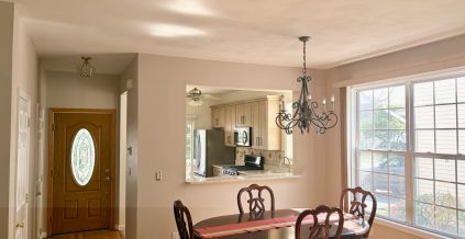 Kitchen Interior Painting