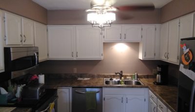 White Kitchen Cabinets
