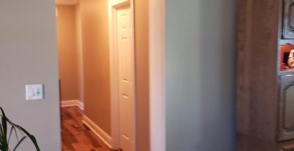 Interior Doorway Painters