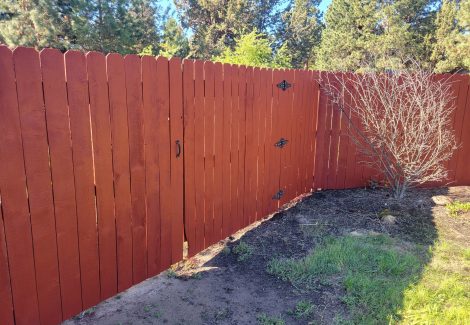 Fence Staining