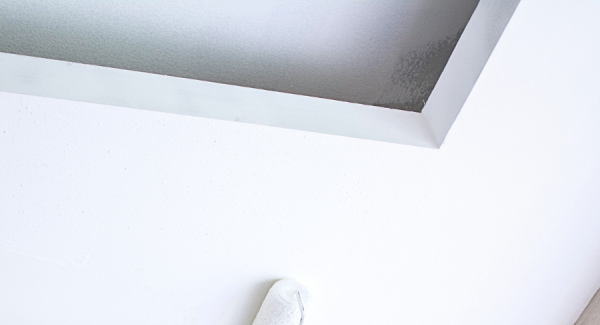 Ceiling Painting Services