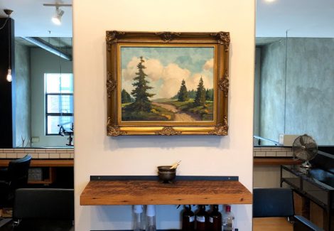 Shed salon walls and rooms