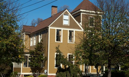 Vinyl Painting Project