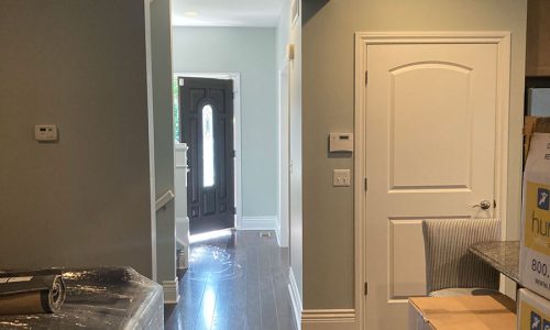 Interior House Painting