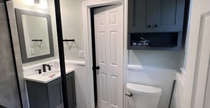 Residential Interior Bathroom Painting