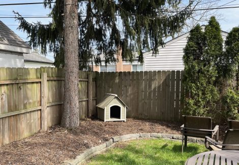 exterior after dog house
