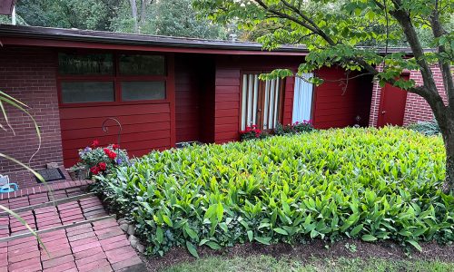 Residential Exterior Painting