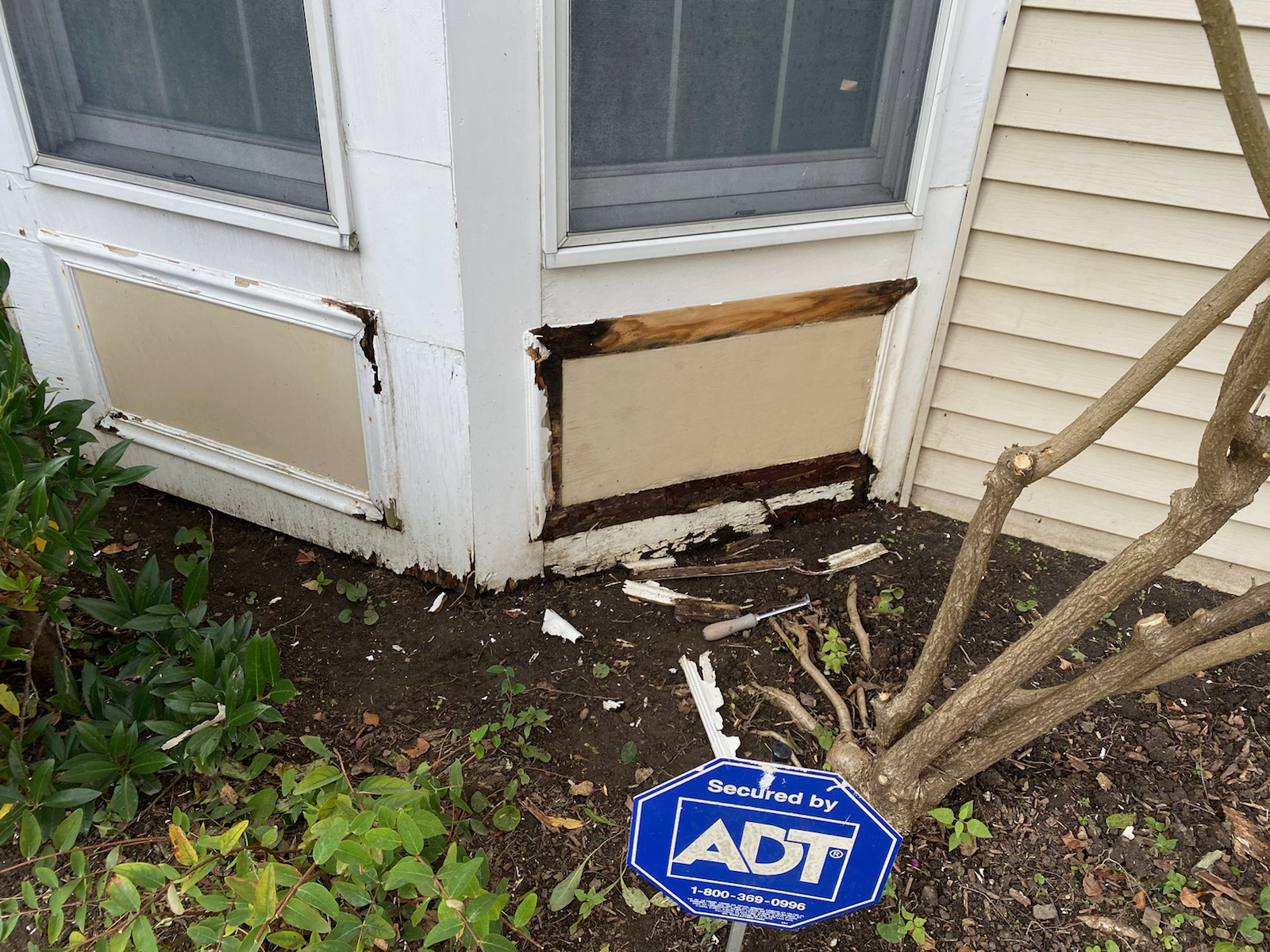 Residential Window Frame – Exterior Painting & Carpentry Repair Before