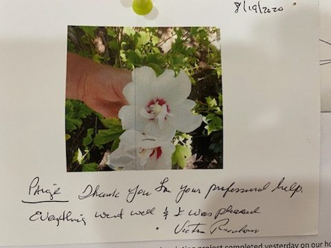 thank you letter from a customer