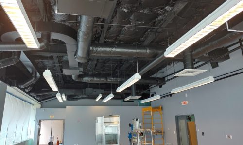 Commercial Office Ceiling Painting