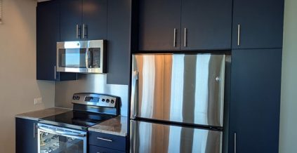 Cabinet Refinishing in Philadelphia PA – Project Album ...