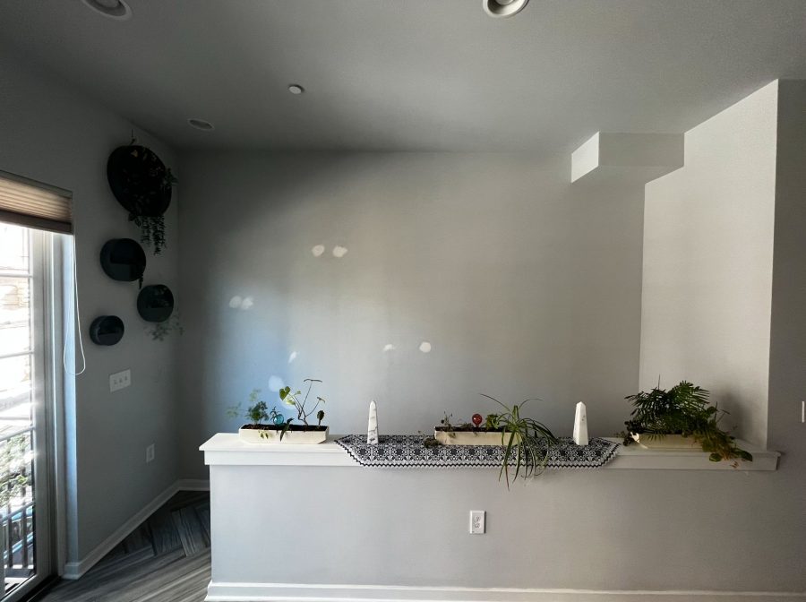 drywall repair before wallpaper installation Preview Image 6