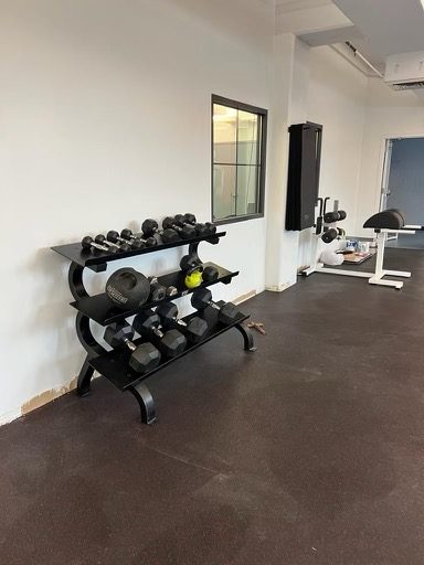 holy ghost school weight room painting Preview Image 2