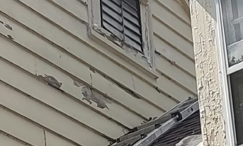 Siding Repair - Before