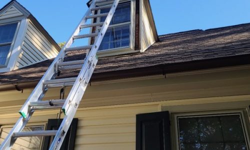 Siding & Exterior Window Frame
