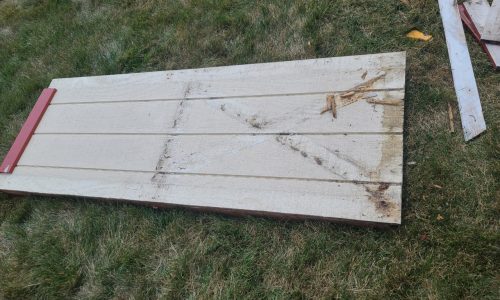 Shed Door - Before Fixes & Repainting