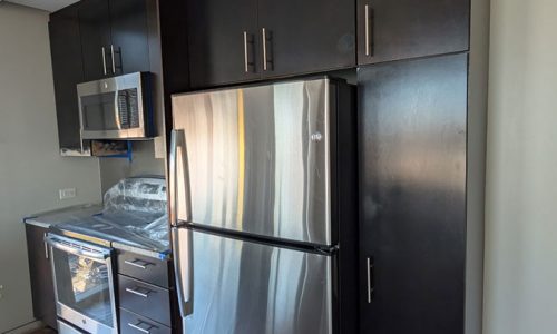 Kitchen Cabinets (Before)