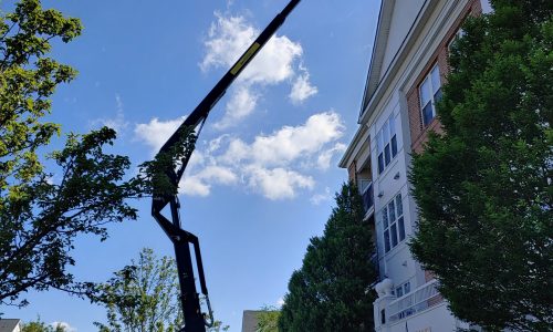 Front Entrance Being Painted