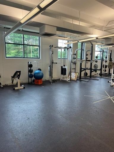 holy ghost school weight room painting Preview Image 6