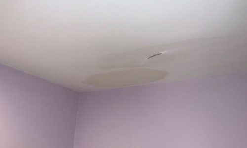 Before - Bathroom Ceiling