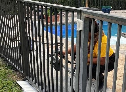 Fencing Before/Painting