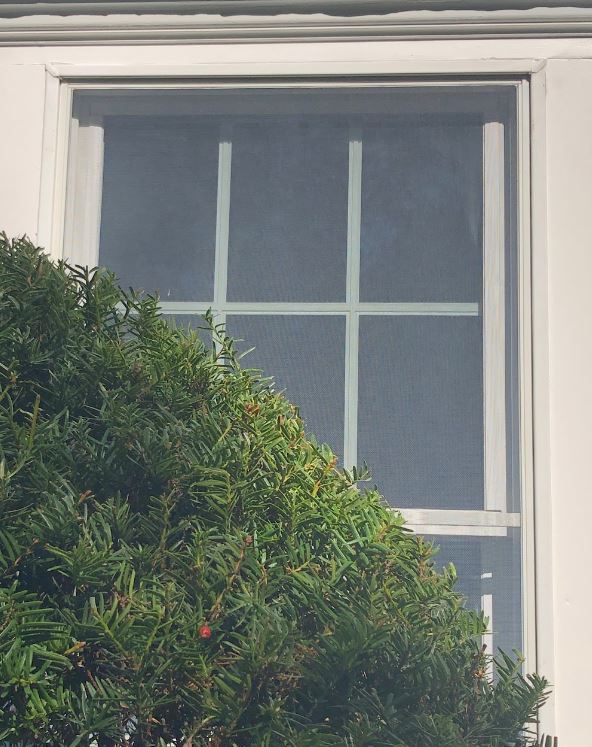 window trim replacement