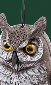 Owl statue with hole in head for string.