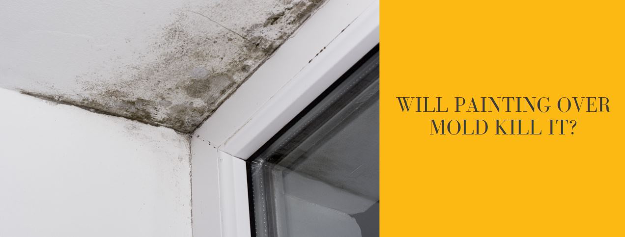 Will painting over mold kill it? CertaPro Painters® of