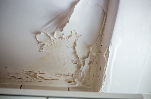 Ceiling with calcimine paint that is peeling