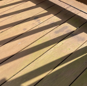 Green mold on mahogany deck