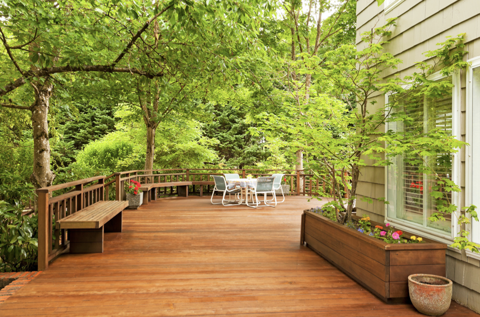 Mahogany deck with trees overhanging it