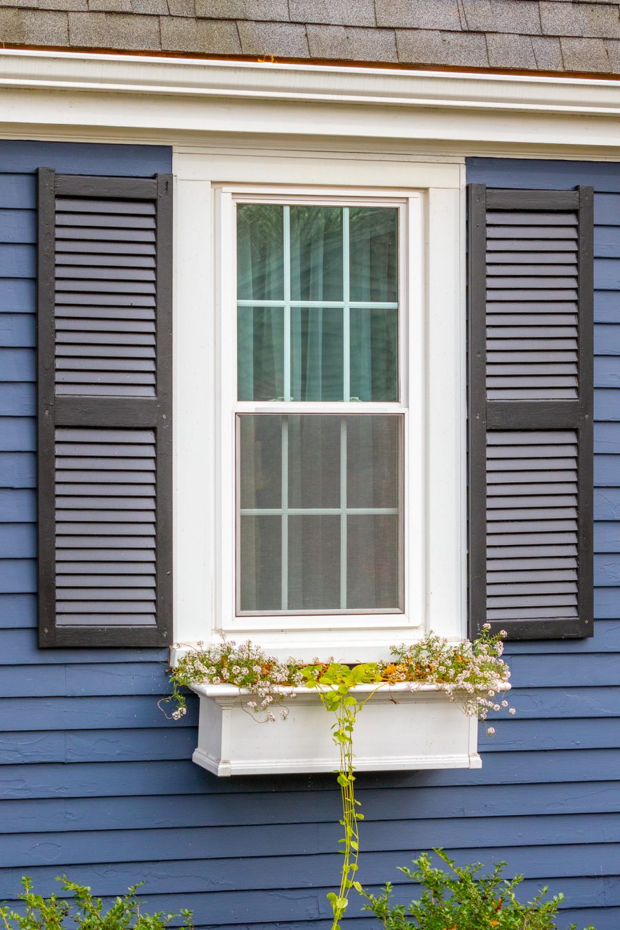 black shutters with white window trim and blue siding Preview Image 6