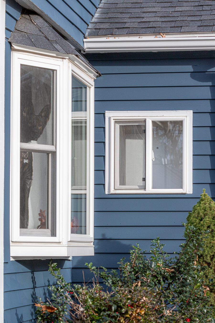 white painted window trim on blue siding home. Preview Image 4