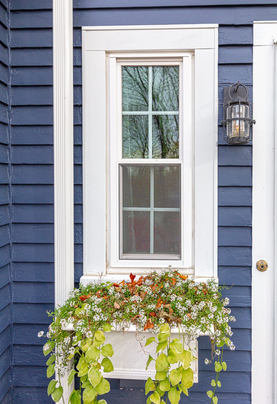 close view of painted window trim and blue siding Preview Image 2