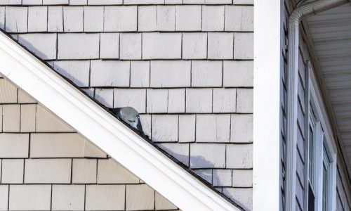 Exterior Painting Project