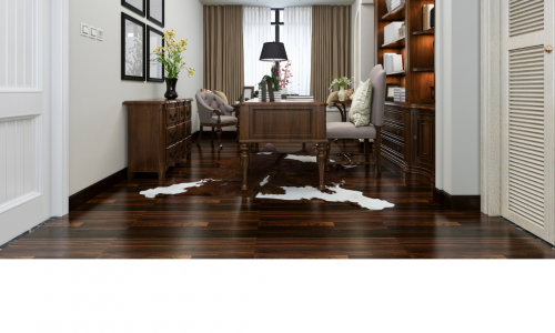 Interior Office Painting