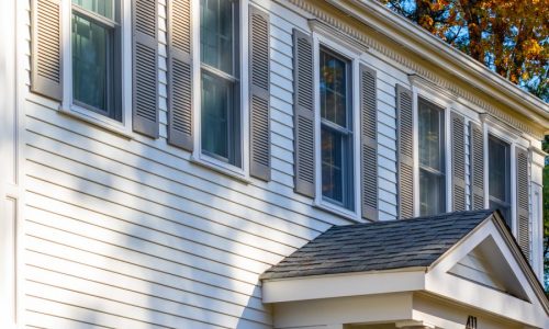 Siding Painting Project