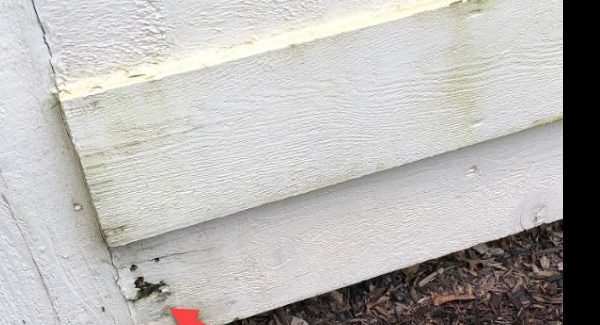 Exterior Carpentry services