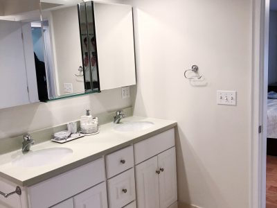 Boston bathroom Interior painting