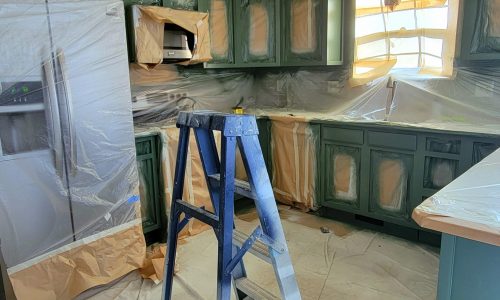 Painting the Cabinets