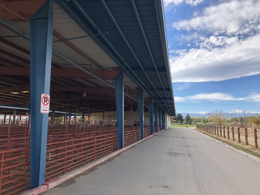 CertaPro of Boulder Fairgrounds Paint Project After Shot Preview Image 1