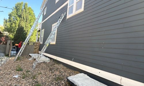 Painting in Progress