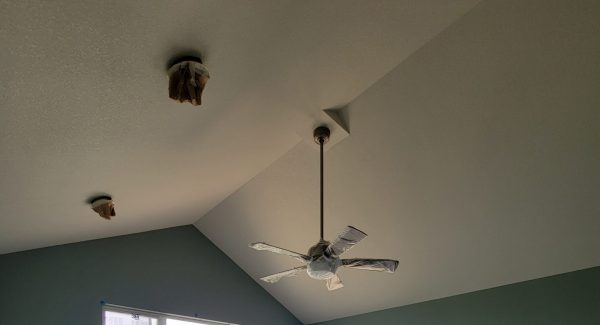 Home Interior Painting