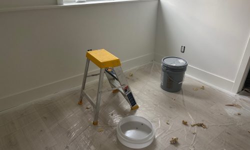 Interior Renovation