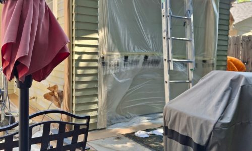 Painting in Progress